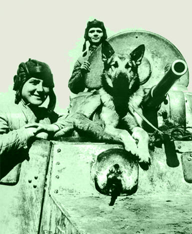Экипаж бронемашины БА-10 старший сержант Е.Эндрексон и сержант В.Першаков со своим боевым другом - овчаркой Джульбарс. Южный фронт, район Ростова-на-Дону, начало марта 1943 года.