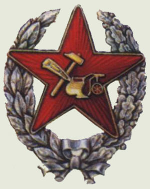 Нагрудный знак красноармейца –  первый знак различия РККА