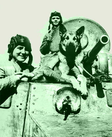   -10   .   .     -  .  ,  --,   1943 .