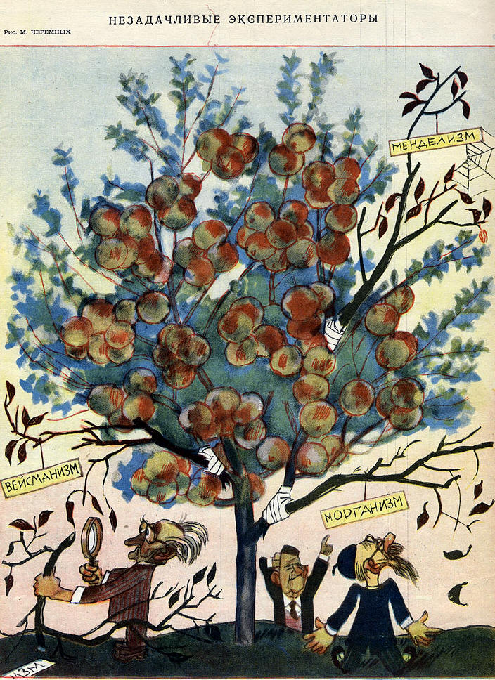        1948 