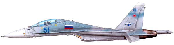 su30-c1.jpg (600×158)